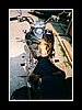 bike003.JPG