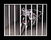 bike033.JPG