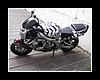 bike037.JPG
