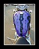 bike066.JPG
