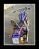 bike070.JPG