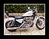 bike080.JPG