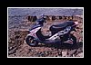scoot01.jpg