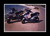scoot02.jpg