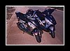 scoot03.jpg