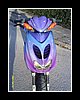 scoot10.JPG