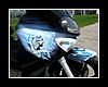 scoot19.JPG