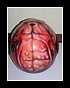 helm010.jpg