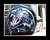 helm013.jpg