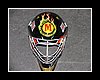 hockeyhelm13.jpg