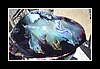 tank26.JPG